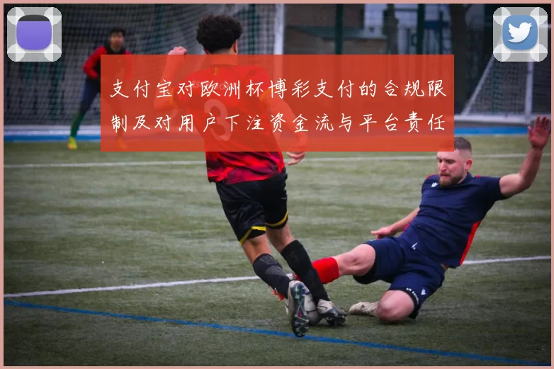 支付宝对欧洲杯博彩支付的合规限制及对用户下注资金流与平台责任影响